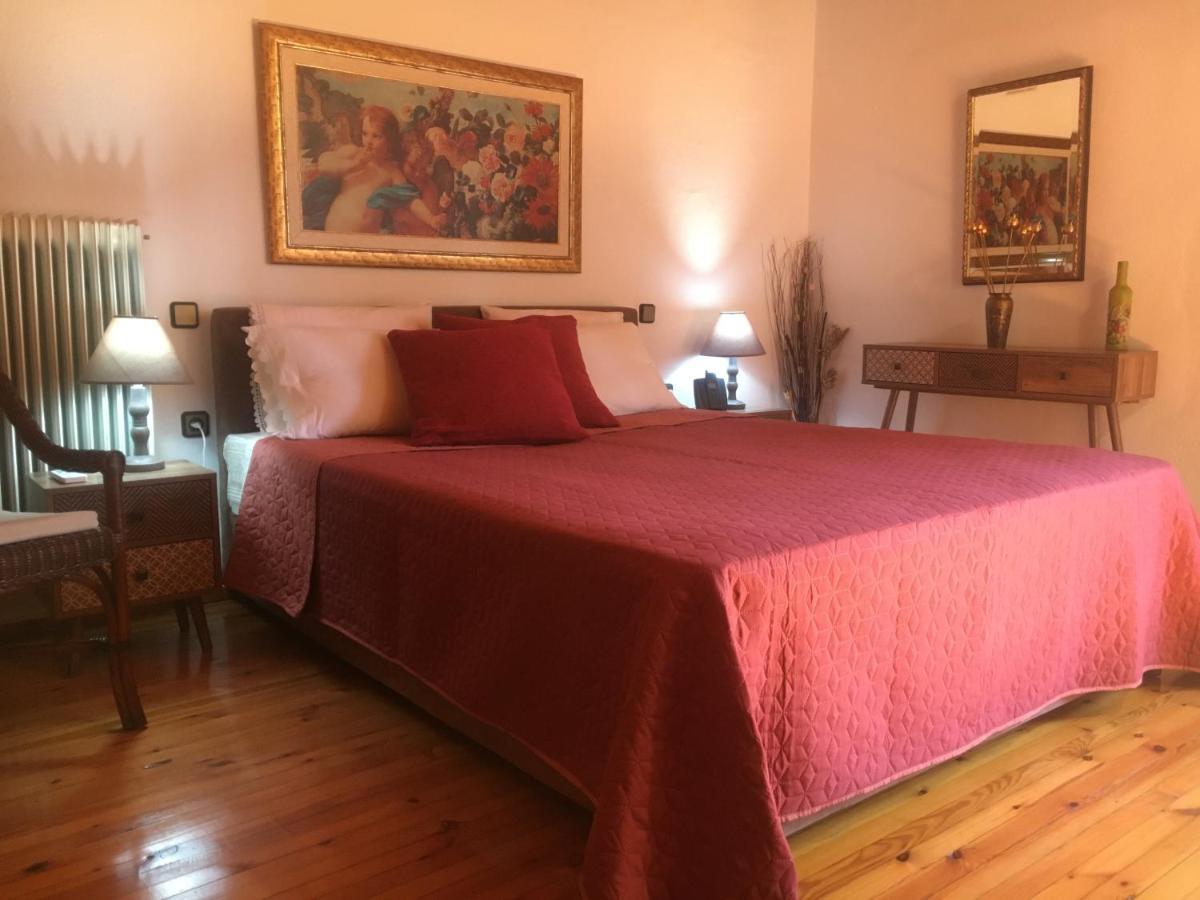קאלאבאקה Sarakinas Farm House מראה חיצוני תמונה